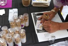 BrandTwist Brand Safari